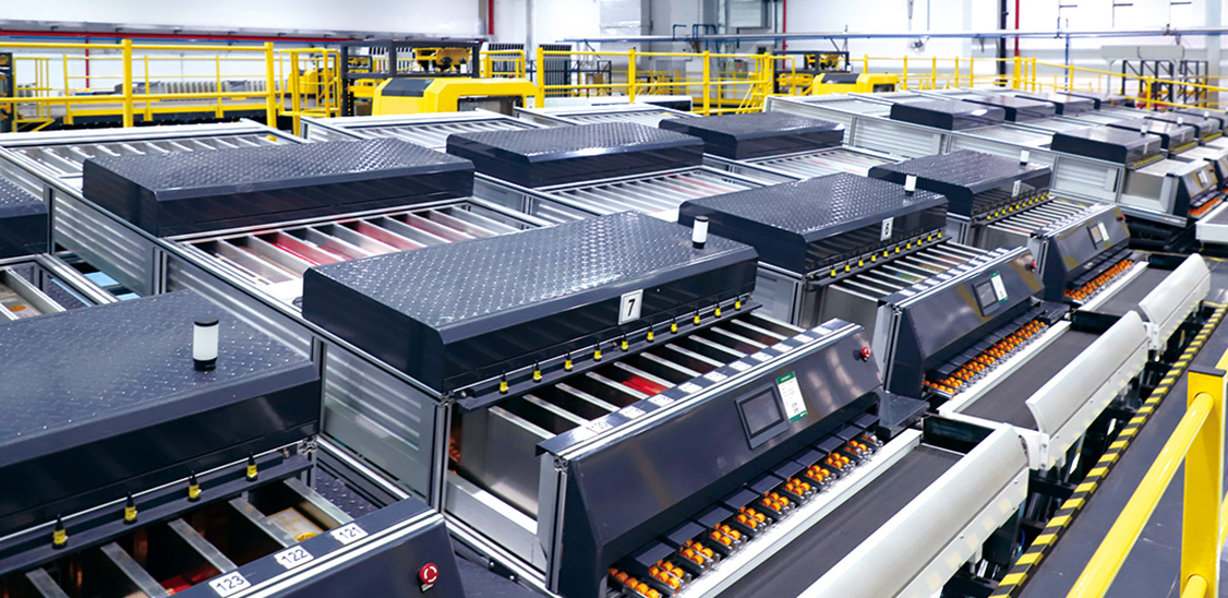 大宝娱乐-LG游戏|PT游戏|CQ9游戏